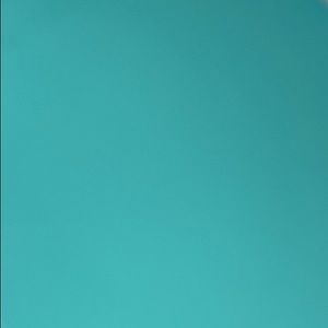 Meet your Posher, Carmen